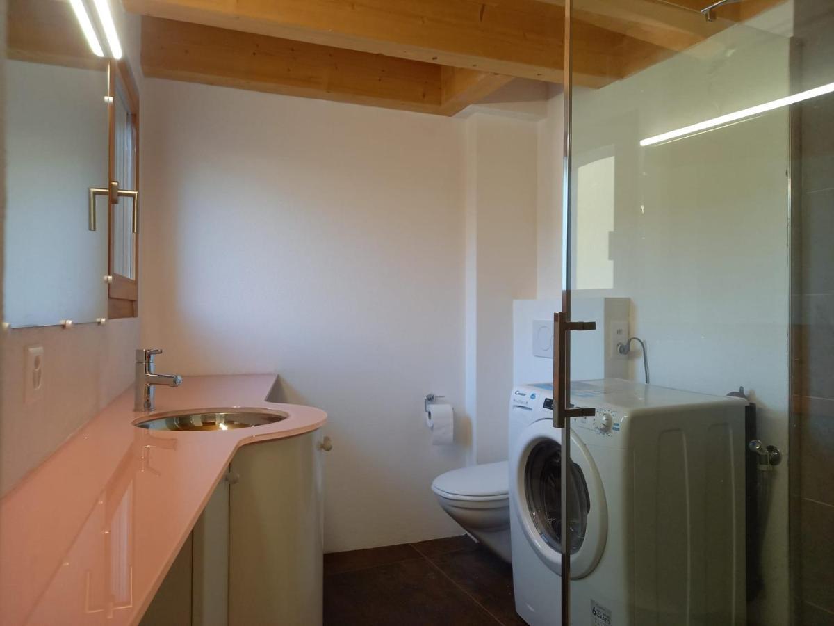 La Ticinella Apartment Losone Ngoại thất bức ảnh